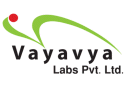 Vayavya Labs