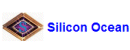 Silicon Ocean Ltd.