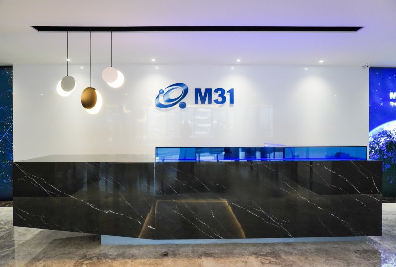 M31 hit a record high of revenue and profit in last year, and it ...