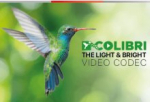 Silex Insight unleashes their new video codec (Colibri), that will shape the future of AV over IP distribution over 1GbE 